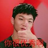 蔡维泽的大拇指