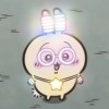 Usagi