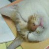 林子瑀