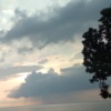 Moon?