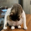 员力