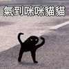 虎儿