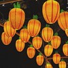 糖根