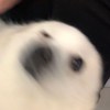 mTT
