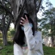 bui_bui