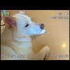 J@027