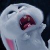 Yan
