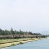 李岱庭
