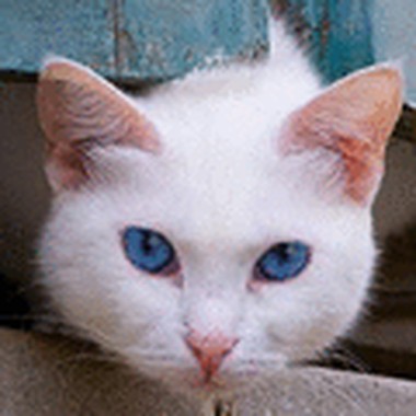 みちゆき