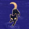 nightcat_band