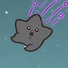 邹