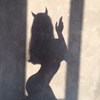 noah_pandra