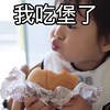 nobak_a