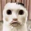 Zxmmmm