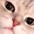 紫紫y