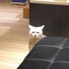 ..？