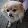 milule