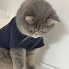 迷墙。
