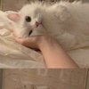 看不到