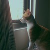 ofelia