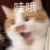 ohplayboy0