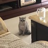 街角的硬币