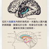 我的海马回里没有你
