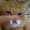 oohkiki