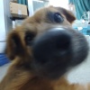王全对