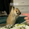 天气