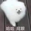 DanDan