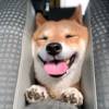 谢钧智