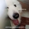 郑雯雯