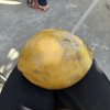 椰子里面加盐巴