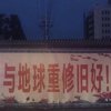 树树