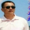 黛玉吟花