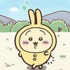 pigmilky