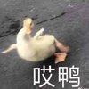 疋疋疋疋疋