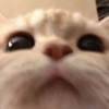zhuang_