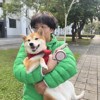 龙龙