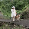 Siu Baak Chi 小白痴