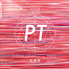 Pomegranate Tree 石榴树乐团