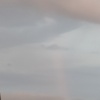 TOY