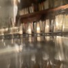 林蔡轩玮