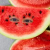 poyu_12356