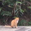 软泥