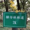 pukun_wang
