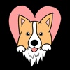 puppy0120