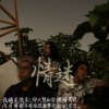 情迷乐队
