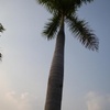我叫浦迈迈